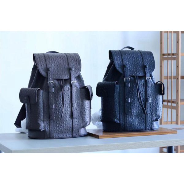 Louis Vuitton Christopher Backpack Grey