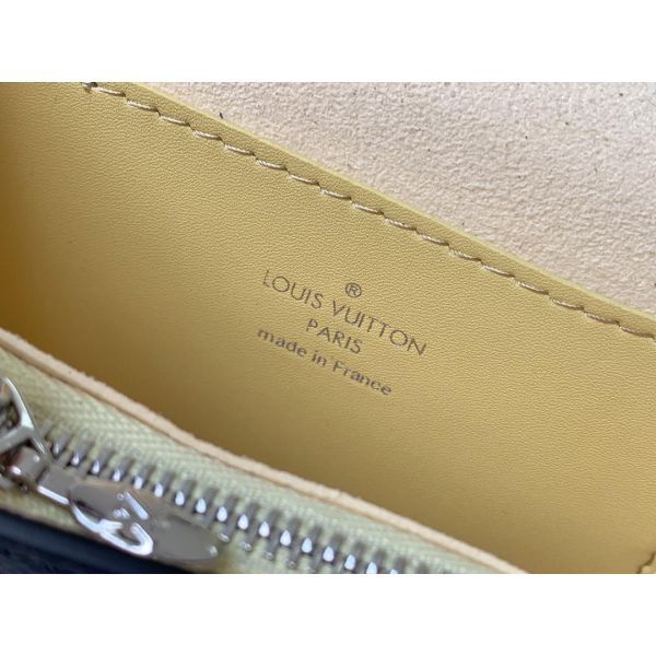Handbags Louis Vuitton LV Bumbag Dauphine Bb
