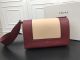 #168287 CELINE Shiny Smooth Calfskin Medium Frame Shoulder Bag
