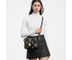 #M45773 Louis Vuitton Pochette Métis