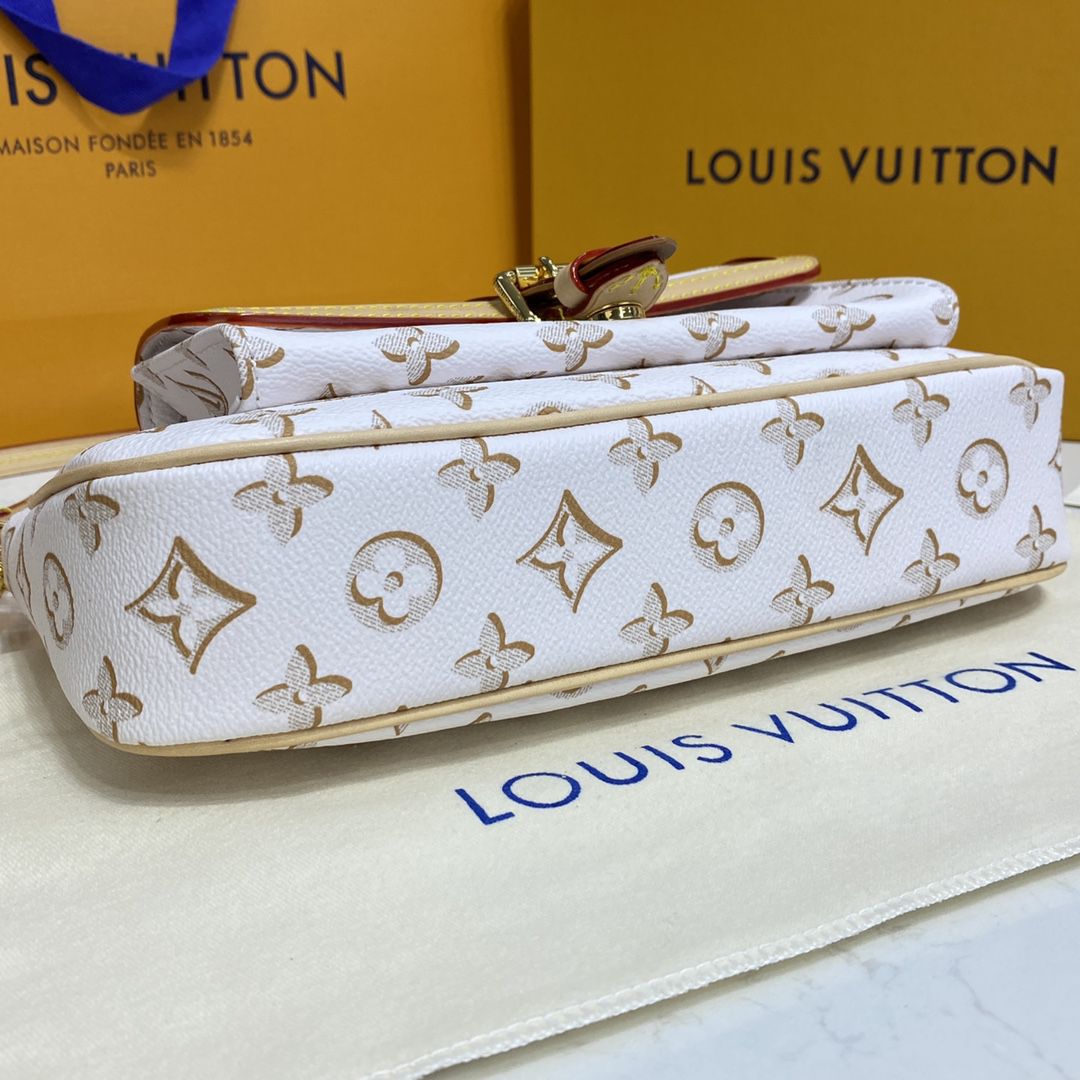 #m20920 l**is V*t*n monogram canvas maxi multi pochette accessoires handbag