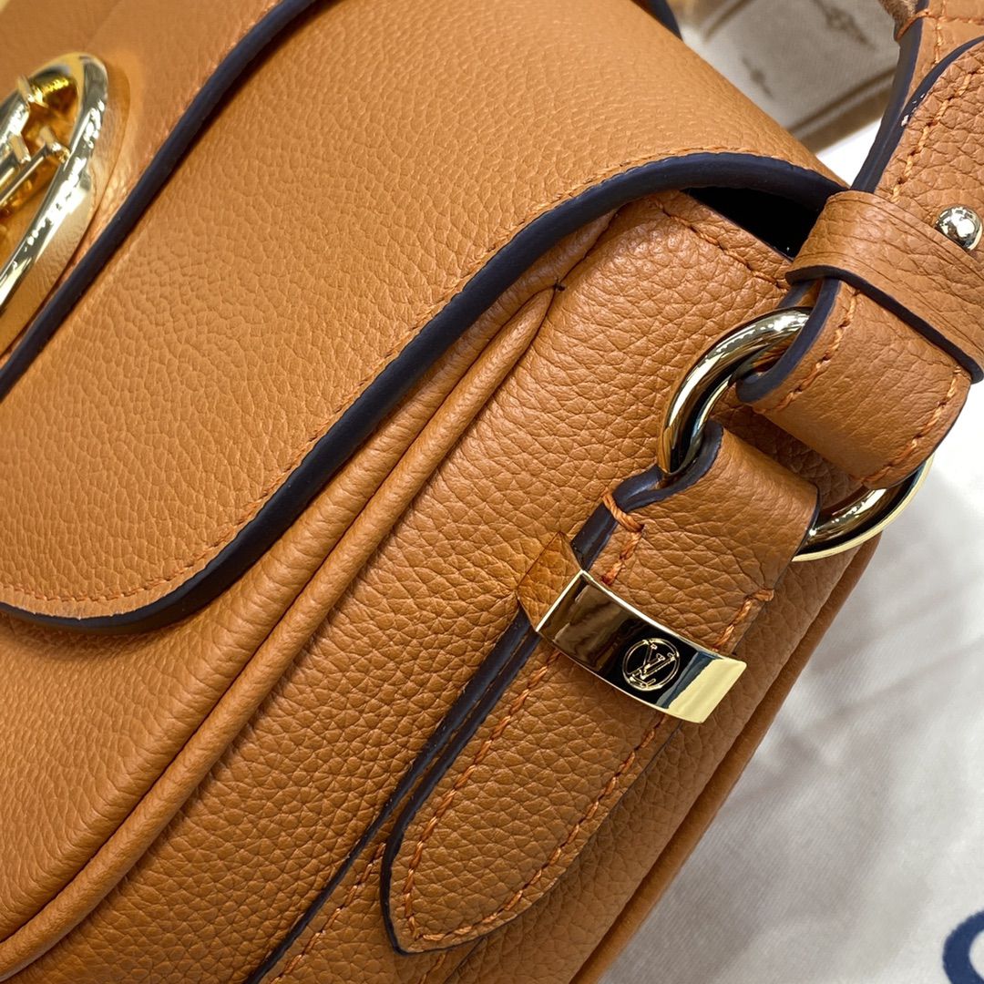 #m58729 l**is V*t*n lv circle lv pont 9 soft pm handbag
