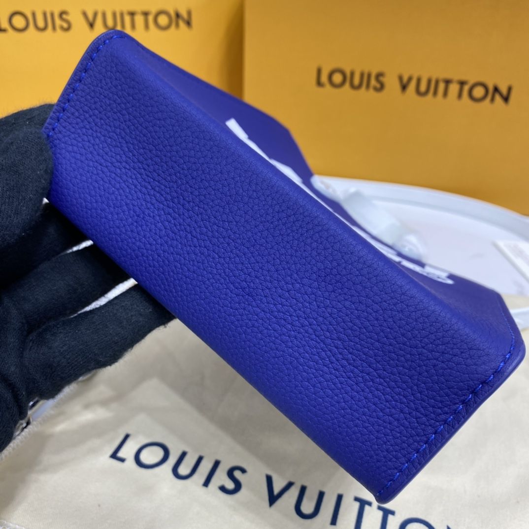 #m80841 l**is V*t*n everyday lv sac plat xs bag