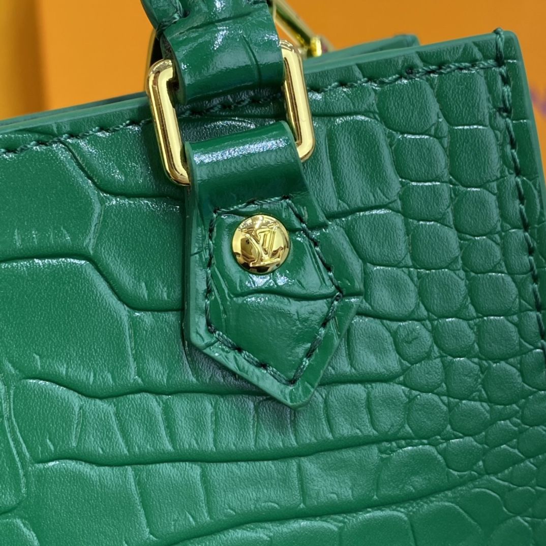 #n99487 l**is V*t*n brilliant alligator leather petit sac plat bag-green