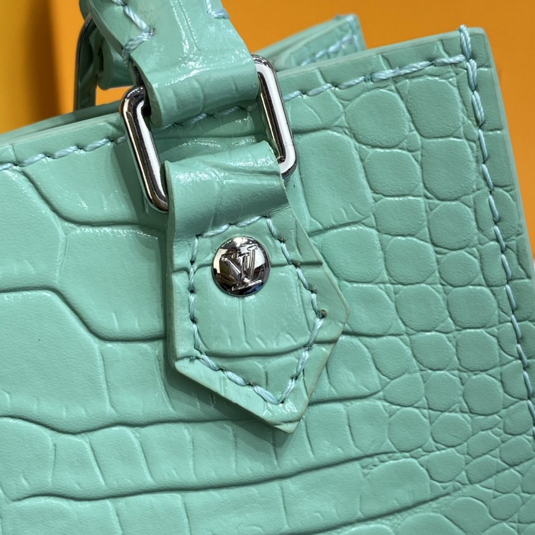 #n99487 l**is V*t*n brilliant alligator leather petit sac plat bag