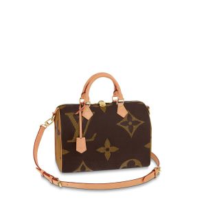 M57290 Louis Vuitton Monogram Motif CABAS VOYAGE