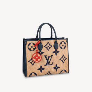 FWRD Renew Louis Vuitton Monogram Raffia Petite Bucket Bag in